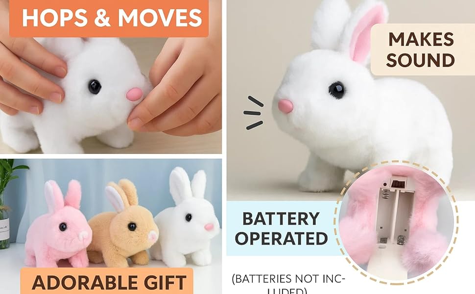 bunny