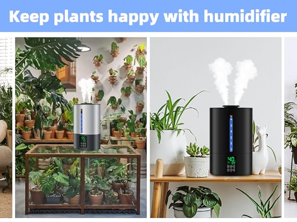 humidifiers for plants indoor