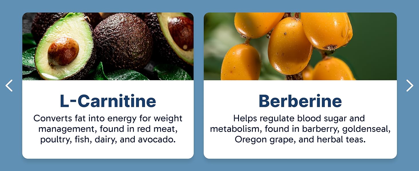 L-Carnitine and Berberine