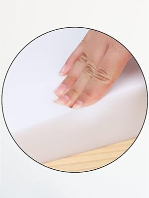 Couch Cushion Support 