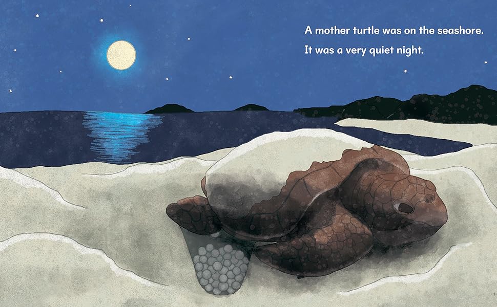 英語絵本　82冊 Amazon.co.jp: THE SEA TURTLE ウミガメ (小学生のための英語