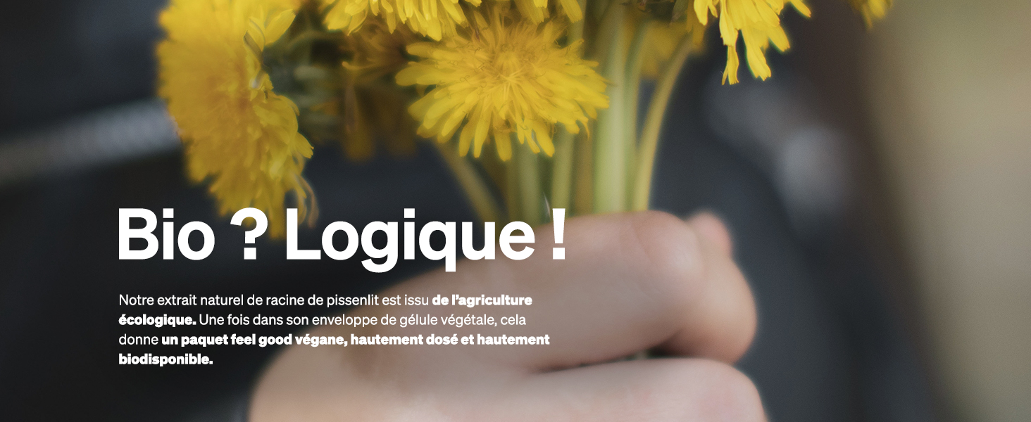 Gros plan de fleurs de pissenlit jaunes avec superposition de texte « Bio ? Logic ! » sur un fond flou