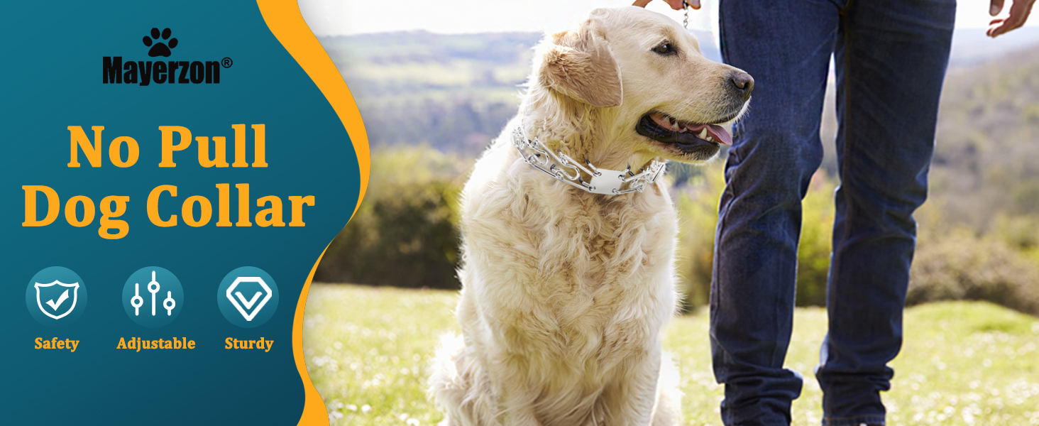 Anti Pull Dog Collar with Backup Collar for Walking