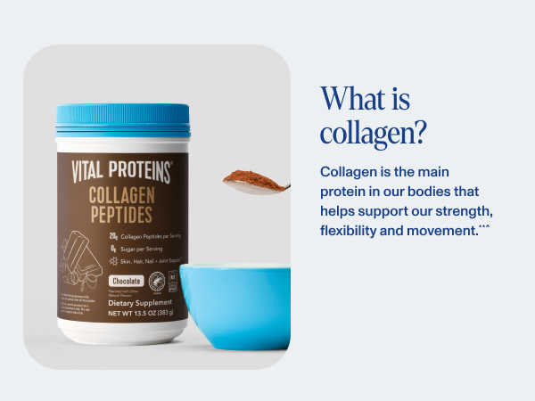 What is collagen?