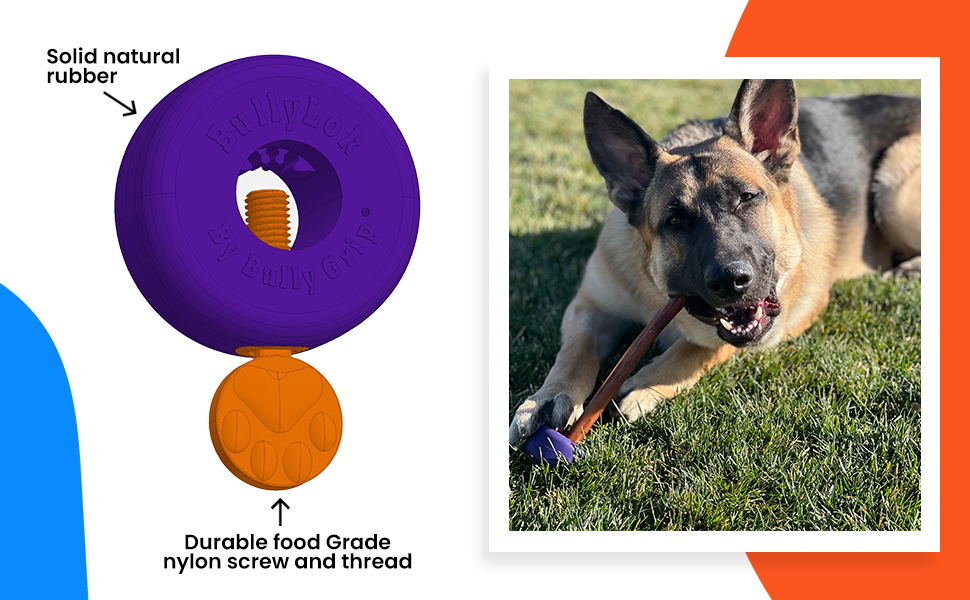 Bully Grip Bully Stick Holder for Dogs, Bully Lok Dog Safety Device, Prevents