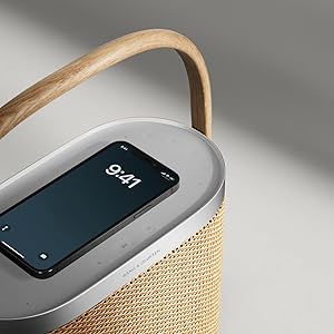 Amazon.co.jp: バング・アンド・オルフセン (Bang & Olufsen) マルチ