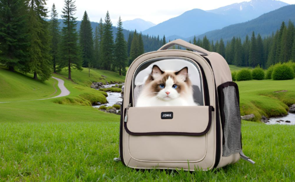 Cat Backpack Carrier