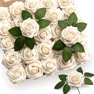 Cream Rose
