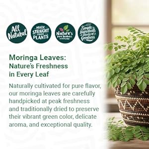 moringa leaves, dried moringa leaf