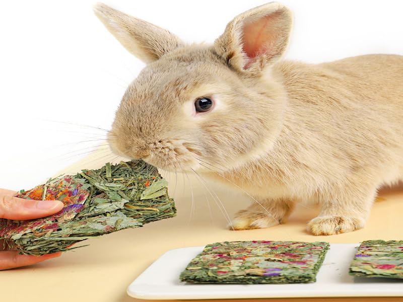 Guinea Pigs Treats will provide animal rabbits, guinea pigs, bunnies, chinchillas rodents  Snack .