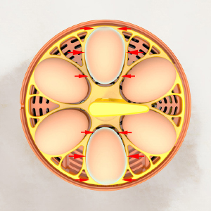 Small manufacture image 6