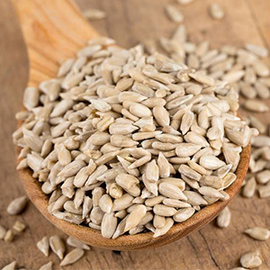 Semi di Girasole BIO