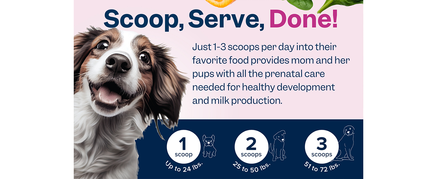 Dog Prenatal Vitamins Prenatal Vitamins for Dogs