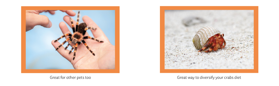 benefits of hermit pellets