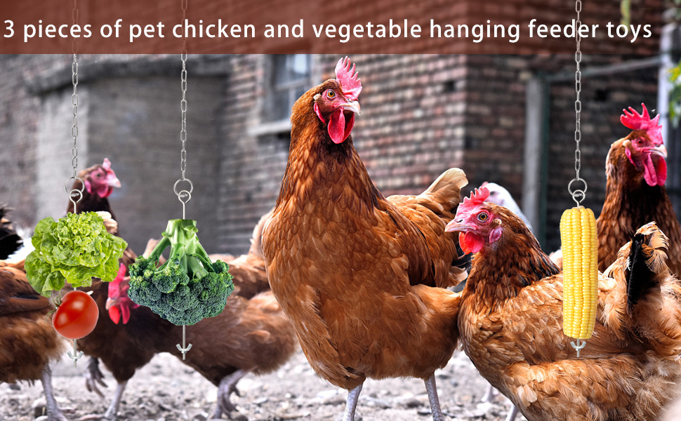 alfalfa for chickens fruit skewers birds chicken treats for hens