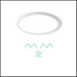 LED Flush Mount Ceiling Light