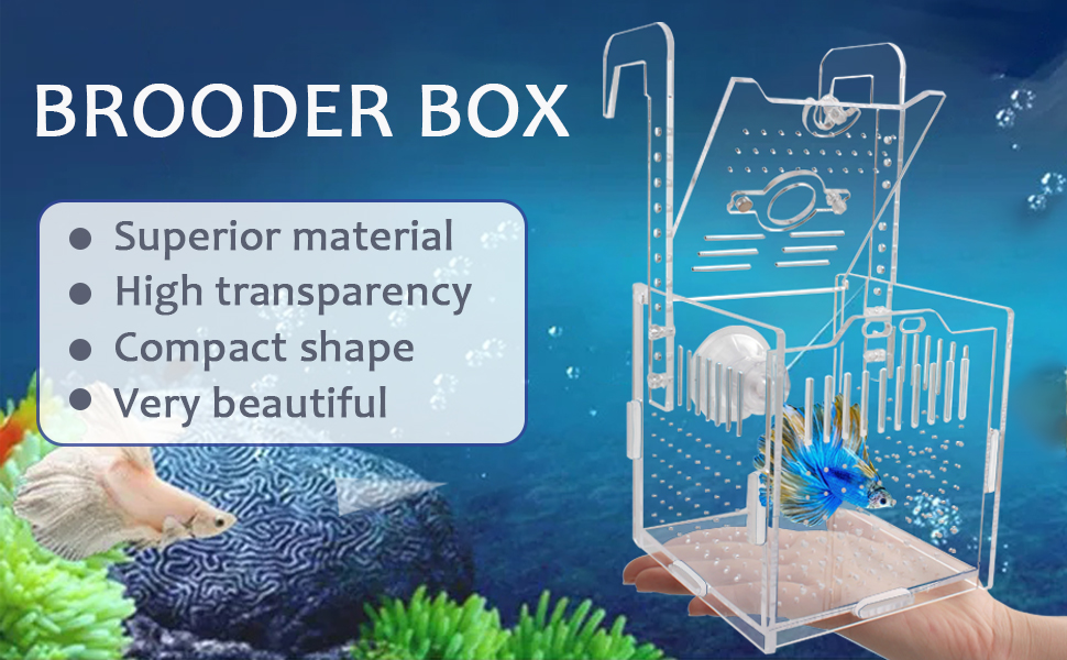 breeder box for fish tank fish breeding box fish breeder box breeder box aquarium breeder box