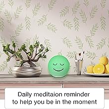 Anxiety relief device