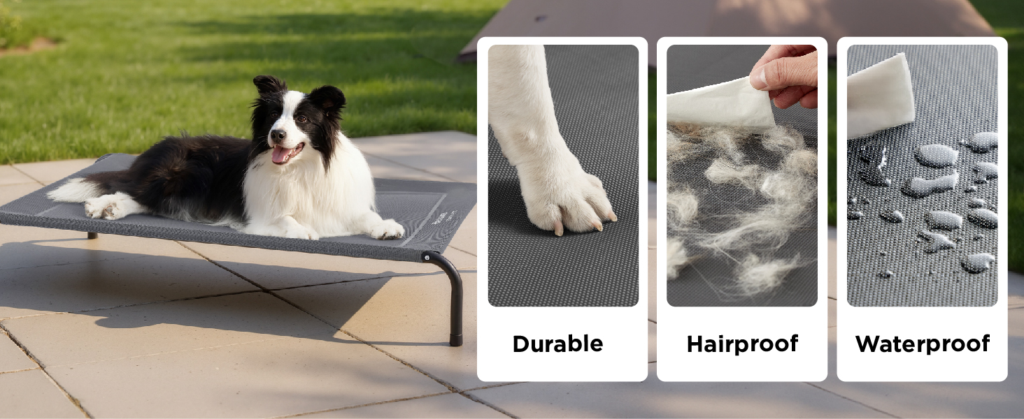 raised dog bed