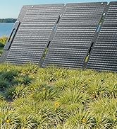 BLUETTI Solar Generator Elite 200 V2 with 2 200W Solar Panels Included (Ships Separately), 2,073....