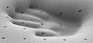 mattress topper back pain