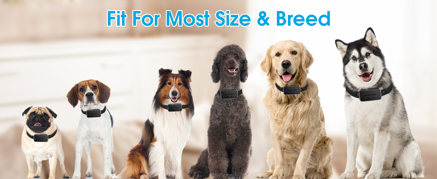 Dr.Trainer Bark Collar with APP&Watch Control