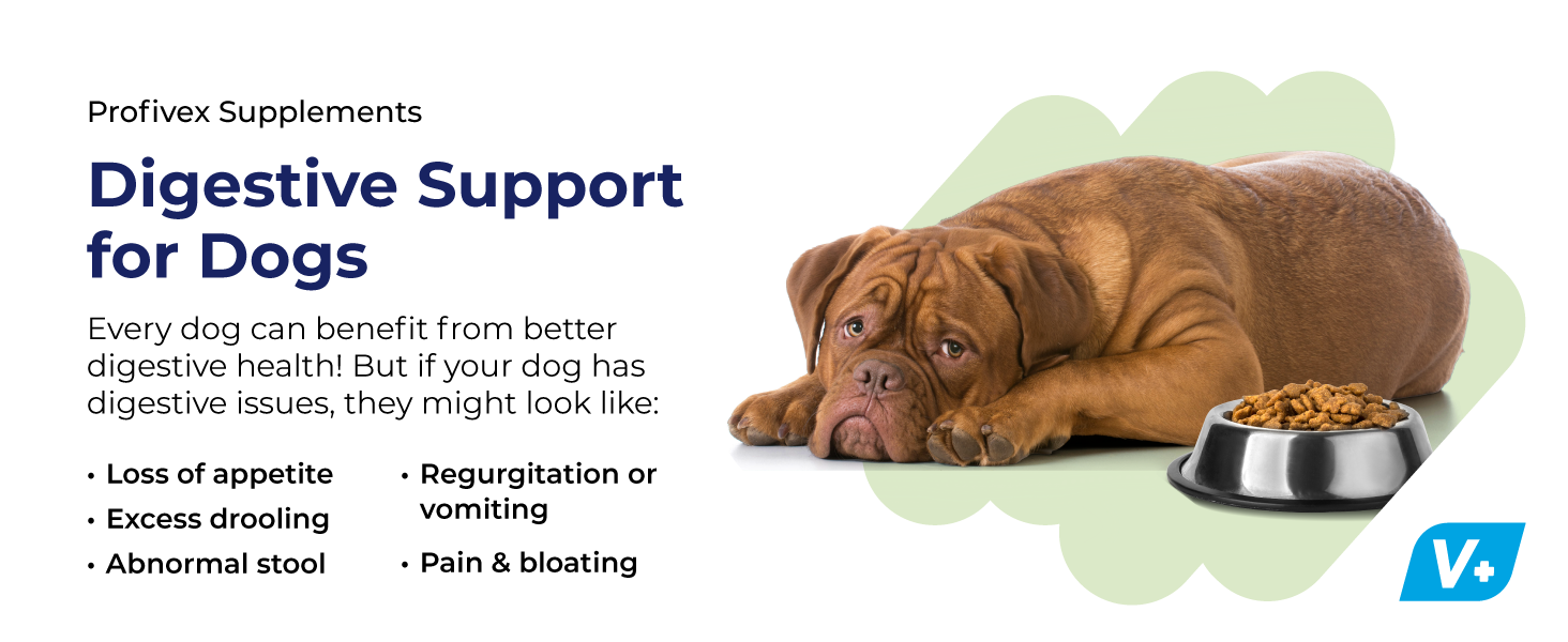 Digestive Support for Dogs
