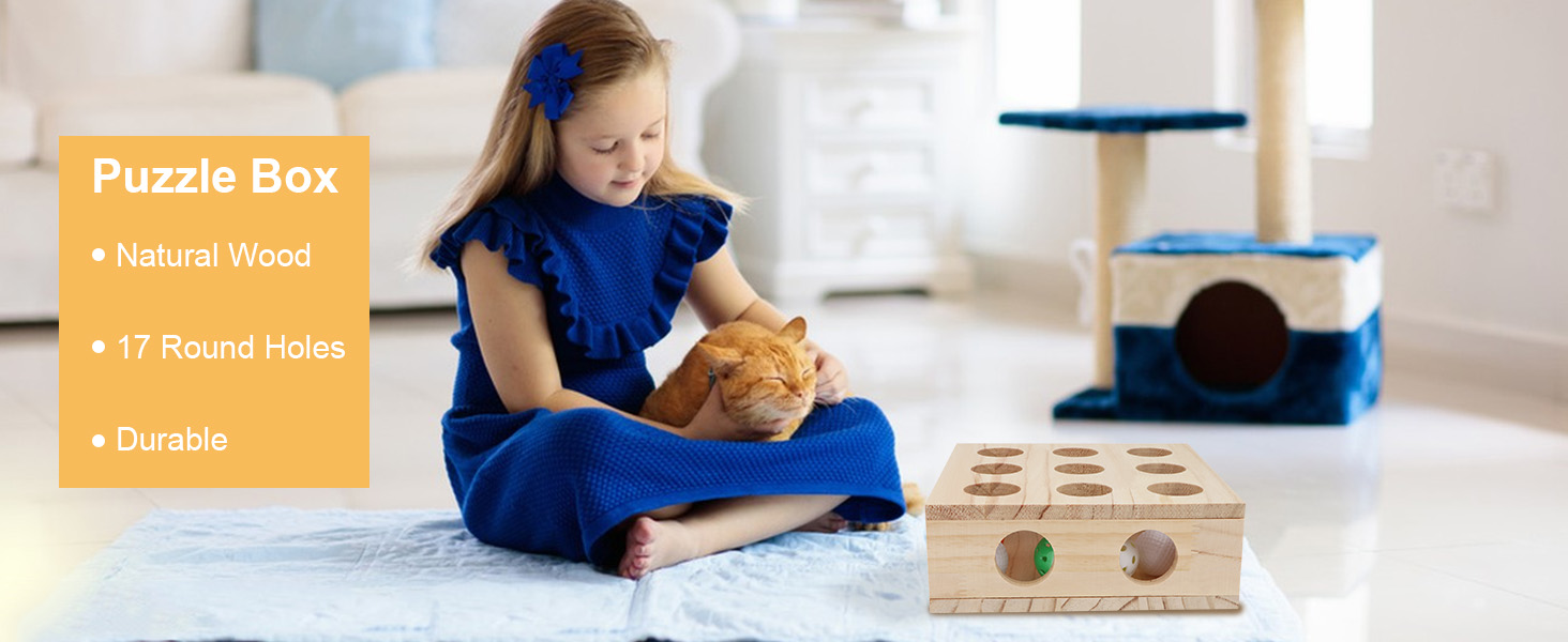 cat wooden box