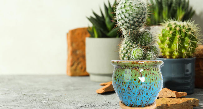 Splattered Pot