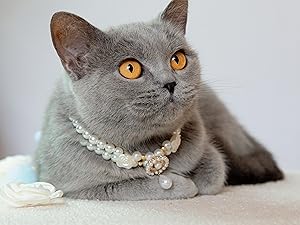 Pearl Flower Design Dog Necklace