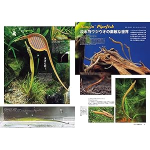 月刊アクアライフ 2025年 8 月号 昭和100年のアクアリウム