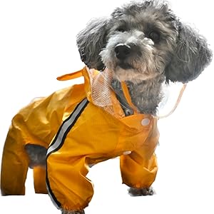 ✨️未使用❣️犬 レインコートかっぱ中型犬小型犬2XLカラーブルー 楽天市場】【新価格】しっぽカバー付きフルカバーレインコート