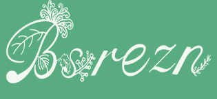 Bsrezn