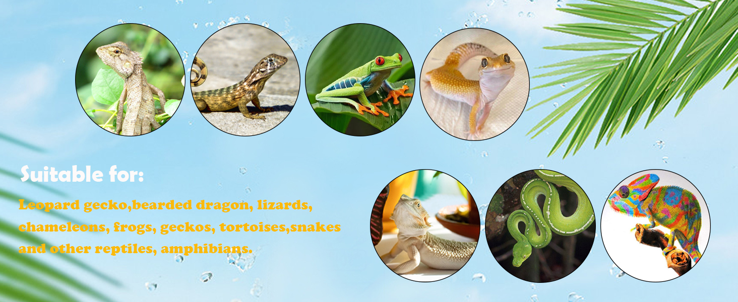 Bearded Dragon Tank Accessories, Reptile Terrarium Liner Substrate for Leopard Gecko