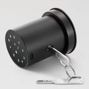 Smart Lock Fingerprint Door Lock Keypad