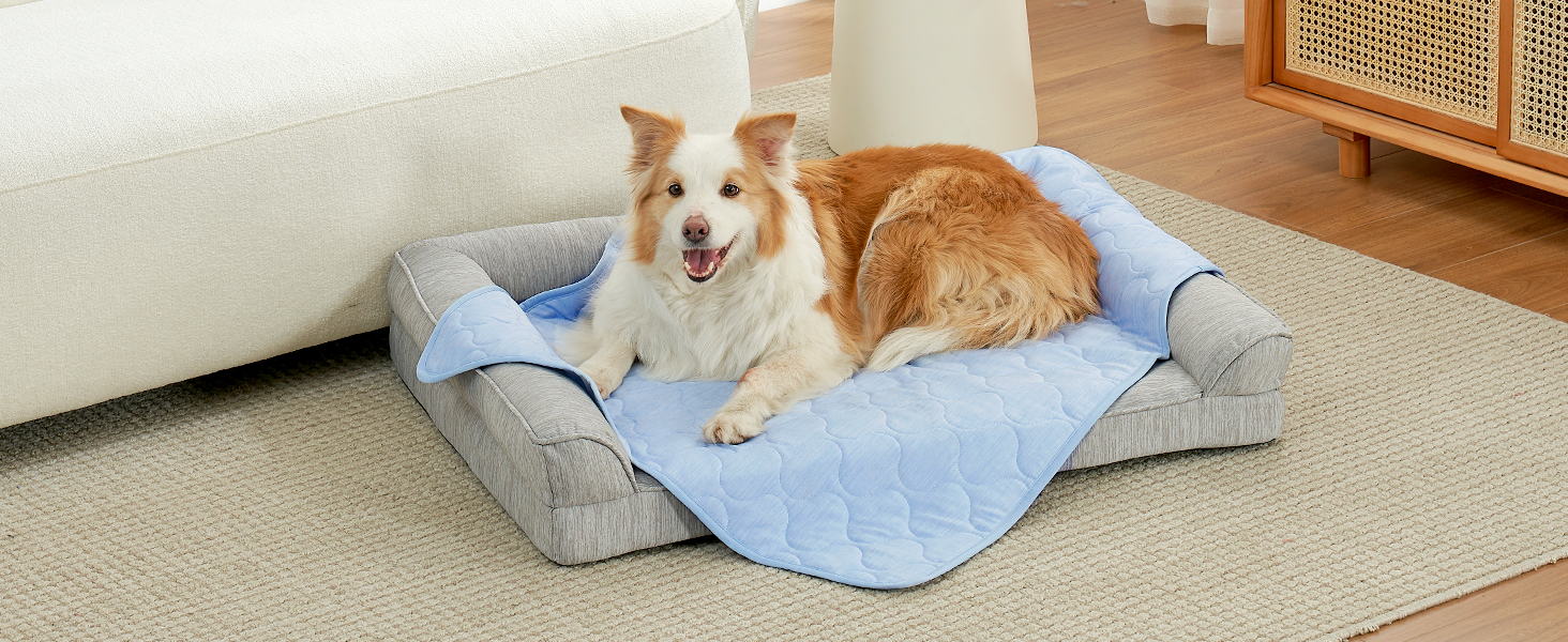 used in dog bed