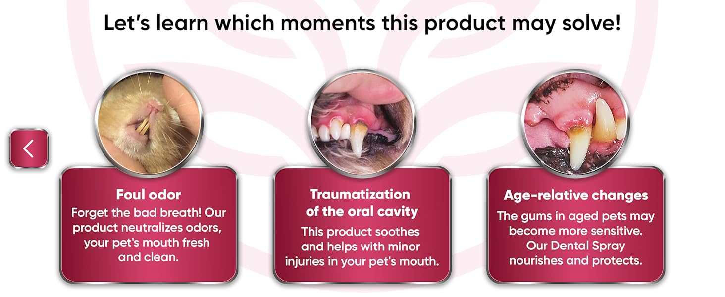 teeth cleaner for dogs, cat mouth cleaner, dental spray for dogs teeth