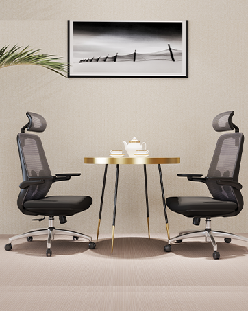 LarkLeaves Mesh Ergonomic Chair