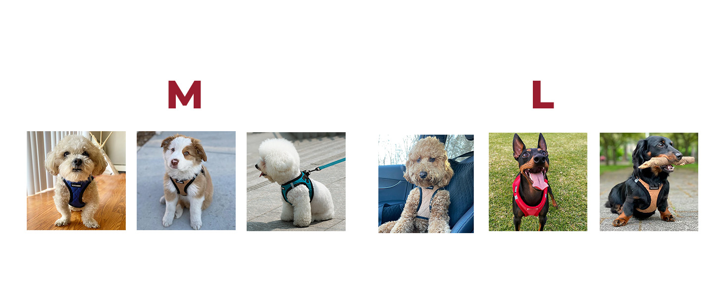 strong dog harness heavy duty