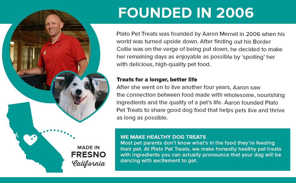Plato pet treats dog food topper - air-dried fish treat with collagen for skin and coat health