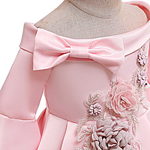 Flower Girls Party Dress