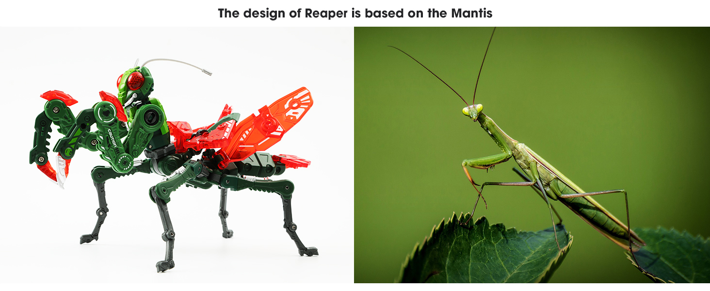 Large manufacture image 2