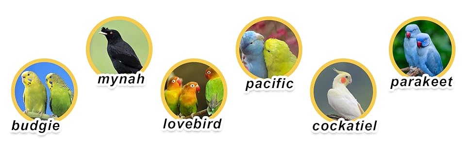Percha para pájaros
