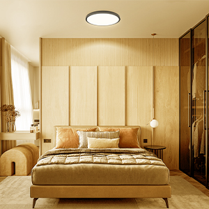 bedroom light fixture