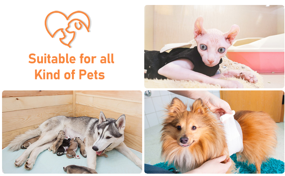 indoor heating pad for cats