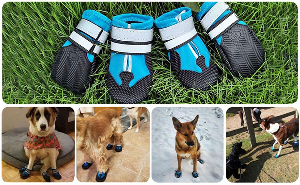Dricar Bottes Chien, Ensemble de 4 Chaussures pour Chiens Antidérapant, Bottes de Protection Dricar Bottes Chien, Ensemble de 4 Chaussures pour Chiens Antidérapant, Bottes de Protection