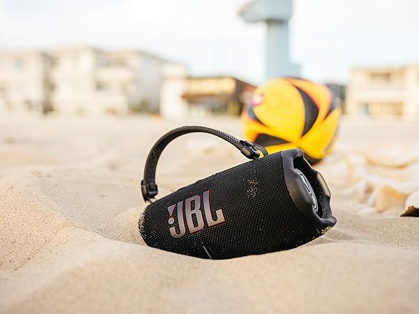JBL Charge 6 dust