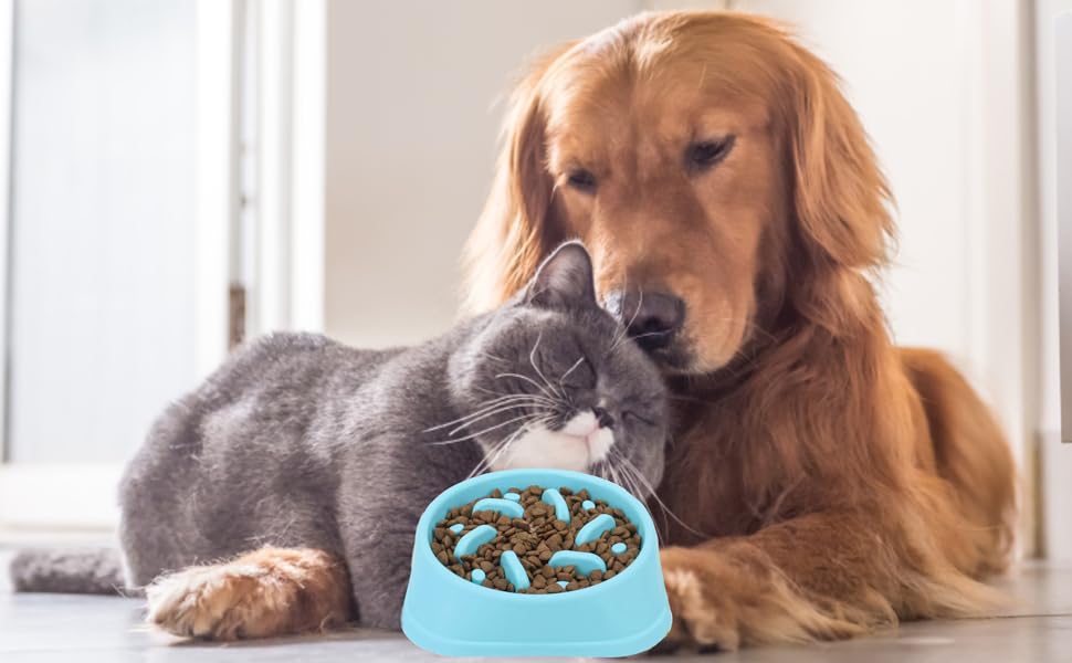 Comedero antivoracidad