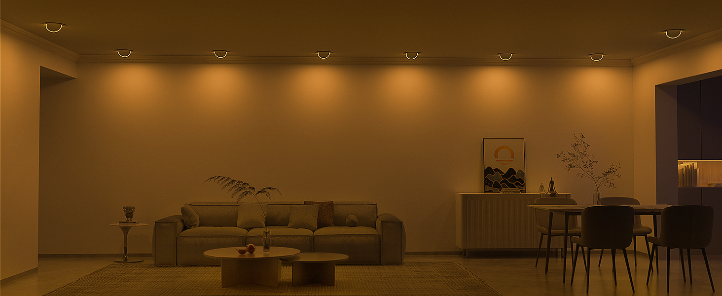 Lumary Smart Gimbal Recessed Lighting