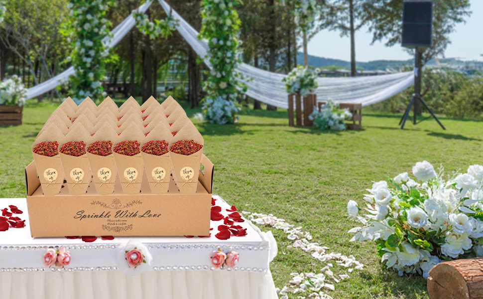 Wedding Confetti Cone Holder Box 2 Set, Color You Confetti